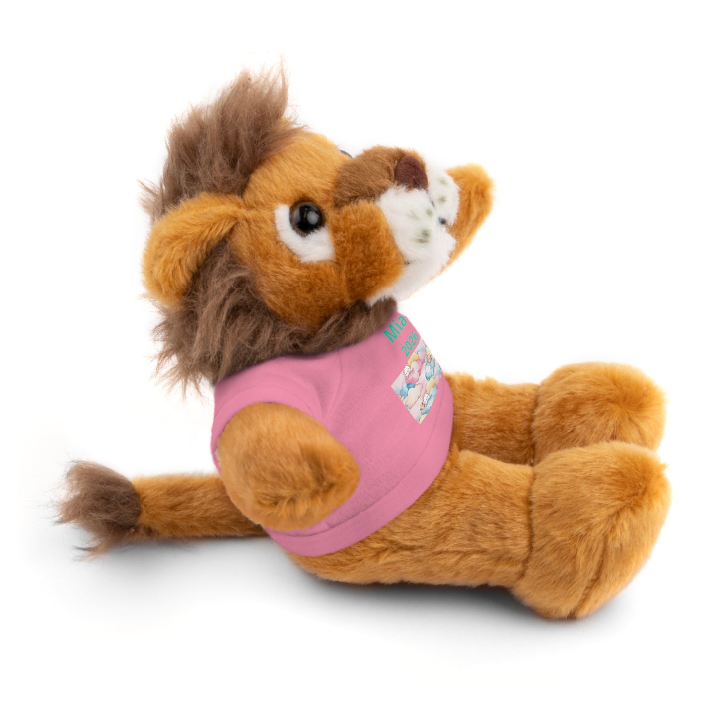 Personalized Plush Bear with Custom Tee — Cute Candy Print & Name
