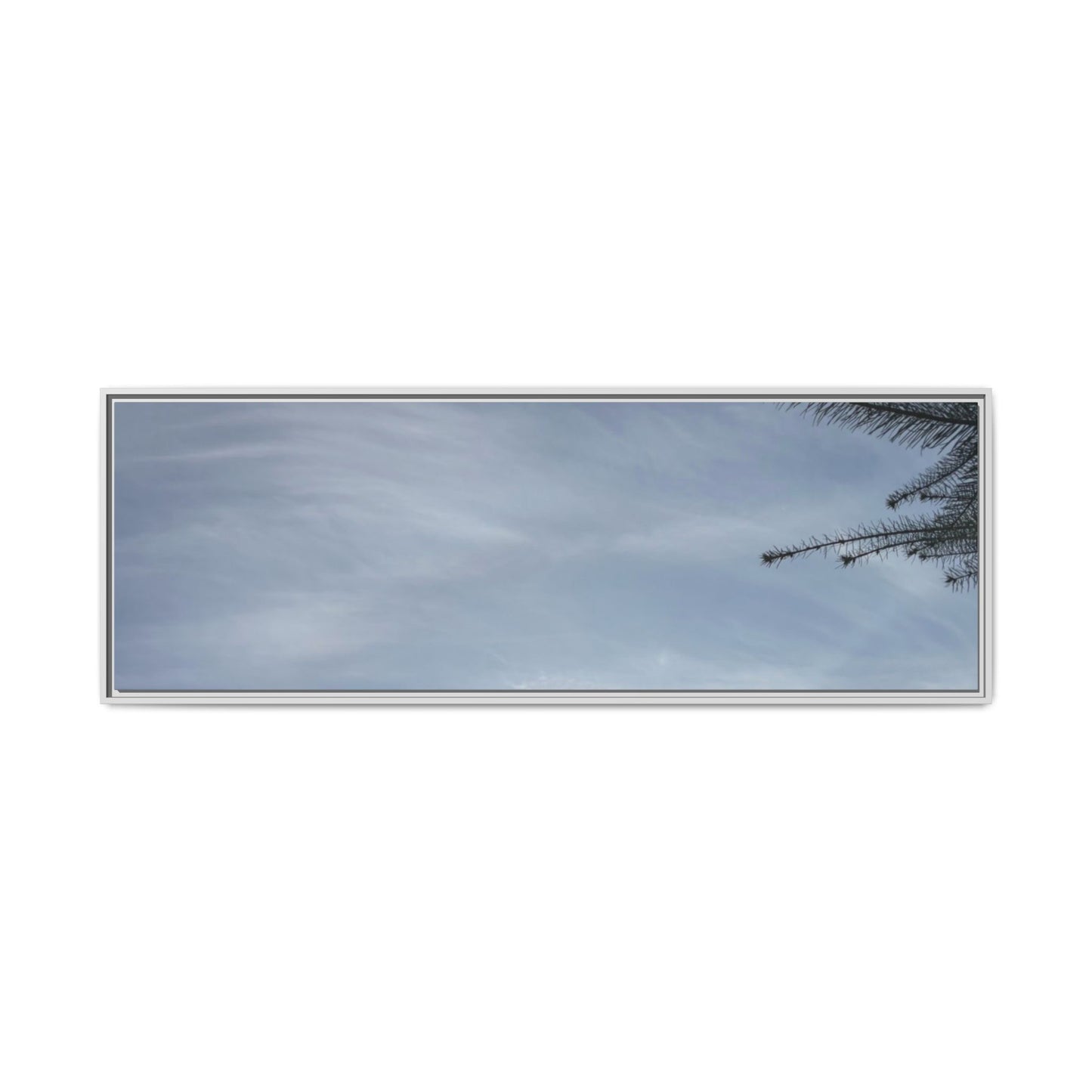 Framed Matte Canvas Wall Art — Winter Sky Tree Photograph