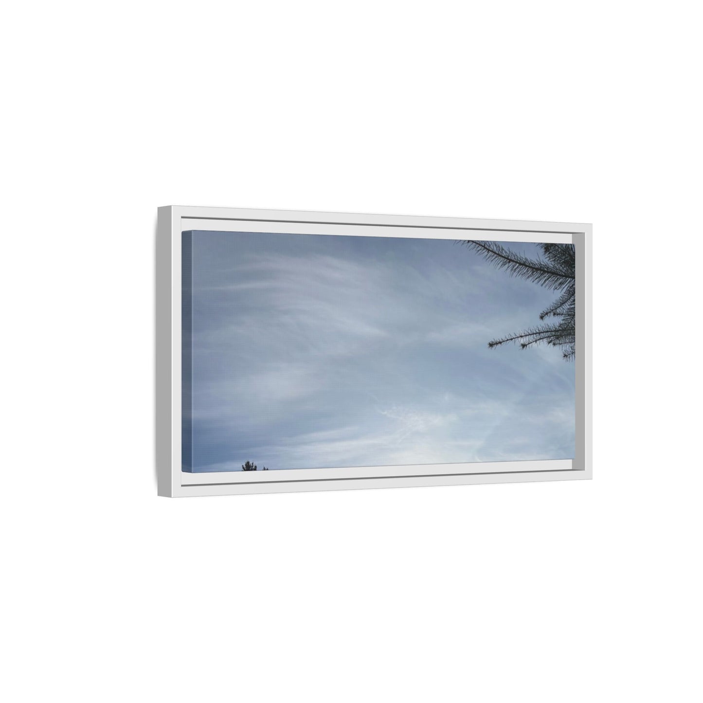 Framed Matte Canvas Wall Art — Winter Sky Tree Photograph