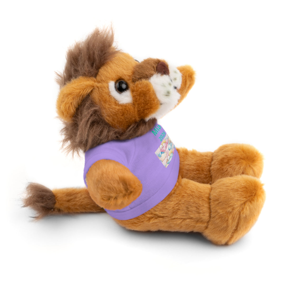 Personalized Plush Bear with Custom Tee — Cute Candy Print & Name