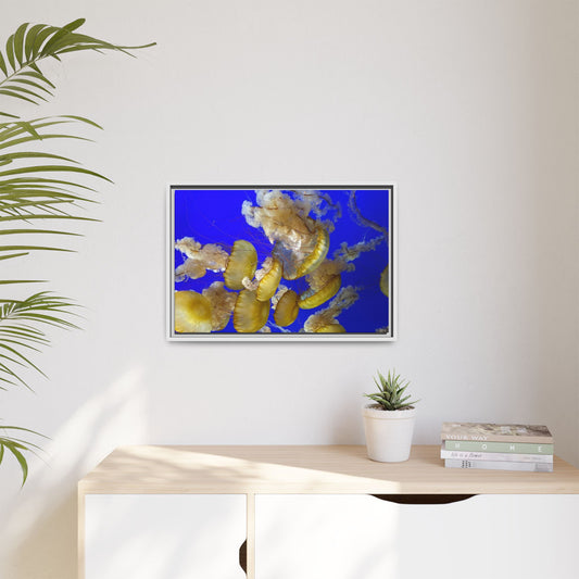 Canvas Wall Art - Jellyfish Theme