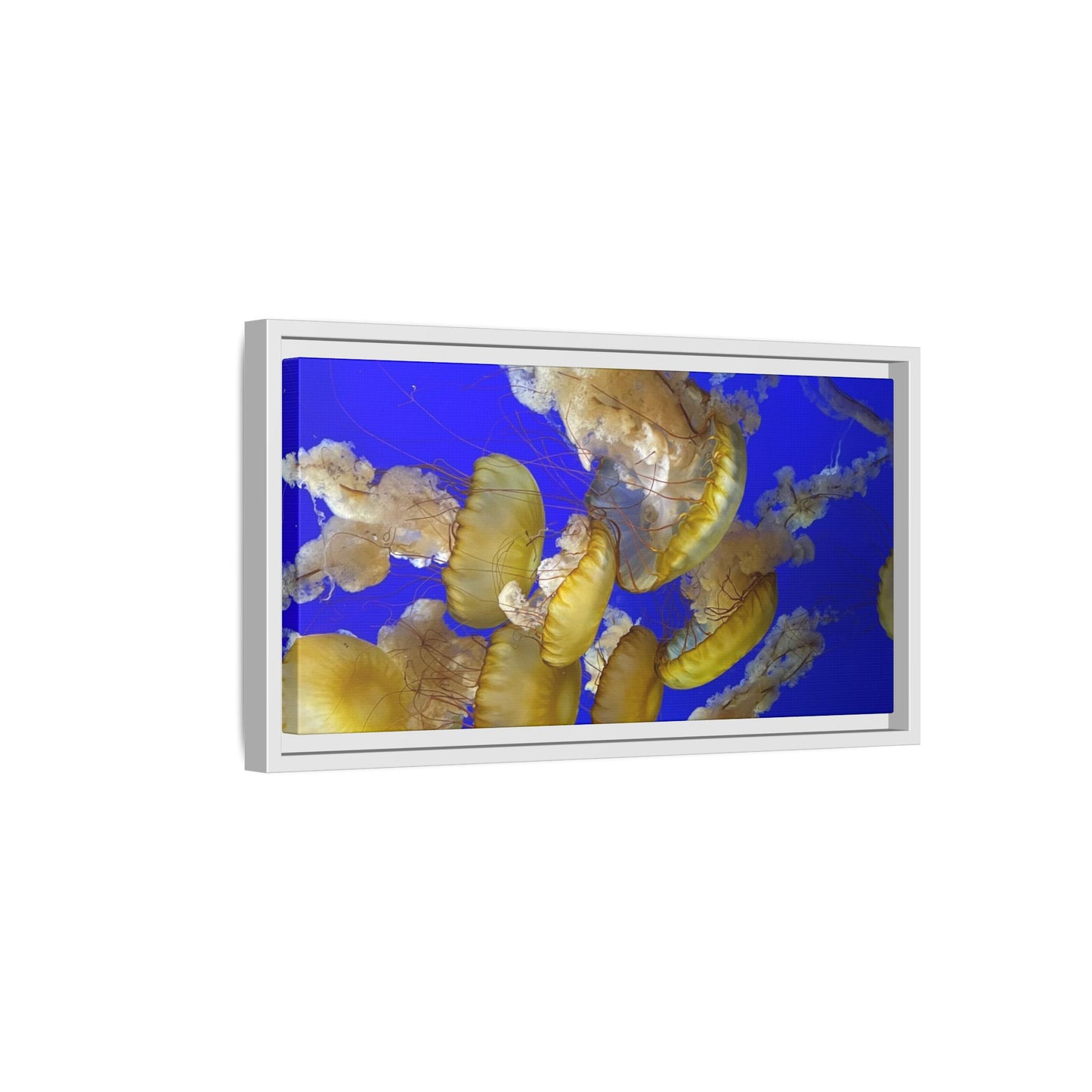 Canvas Wall Art - Jellyfish Theme