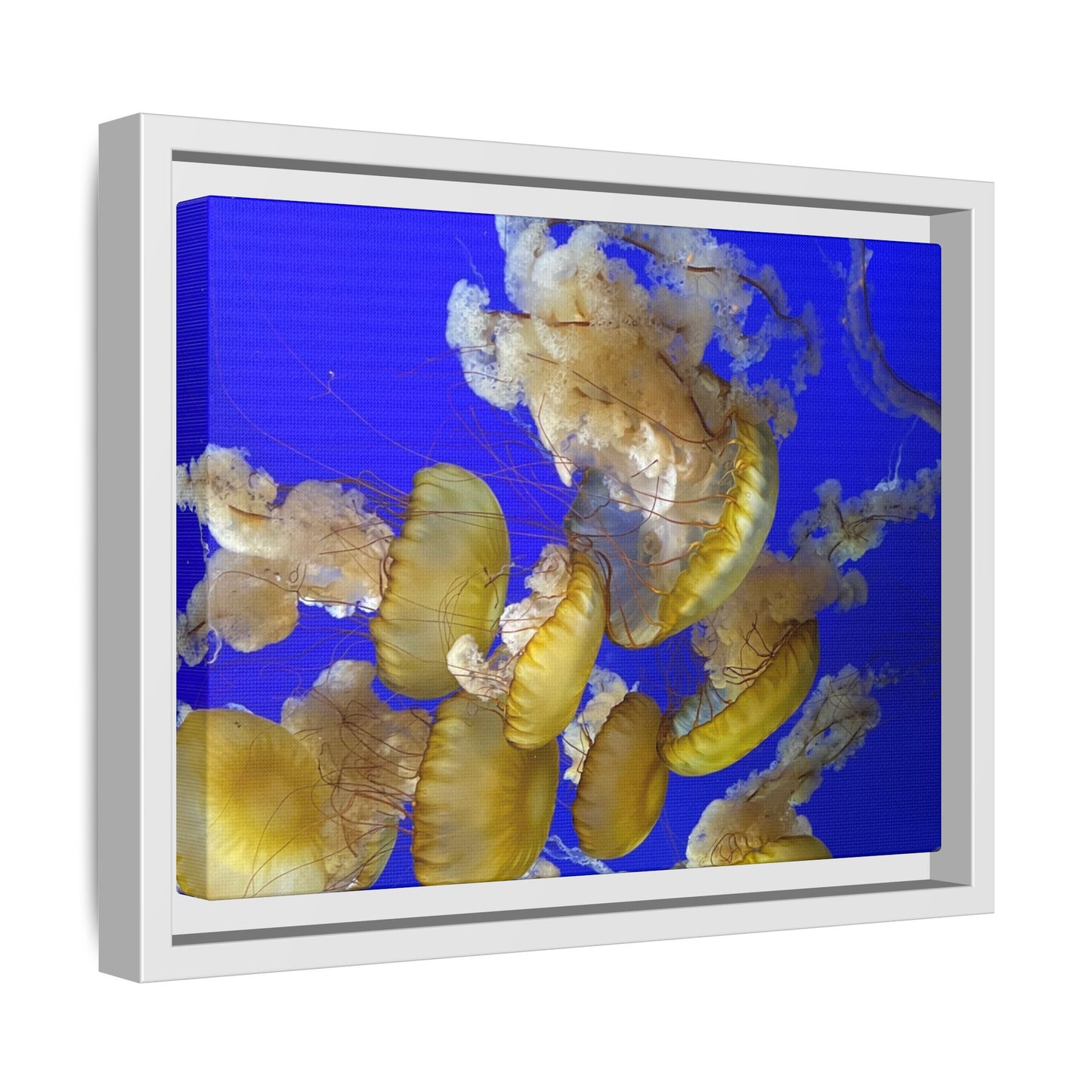 Canvas Wall Art - Jellyfish Theme