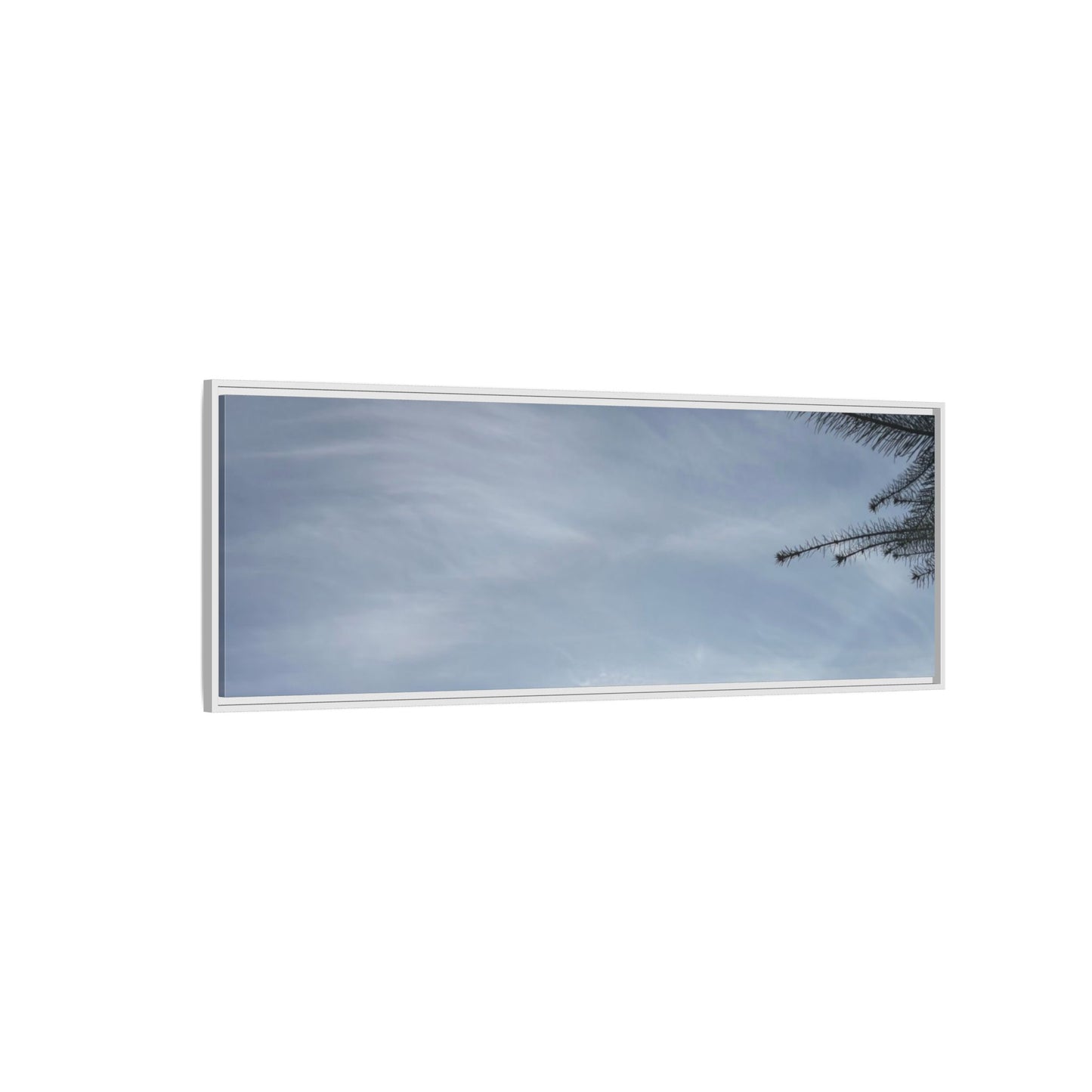 Framed Matte Canvas Wall Art — Winter Sky Tree Photograph