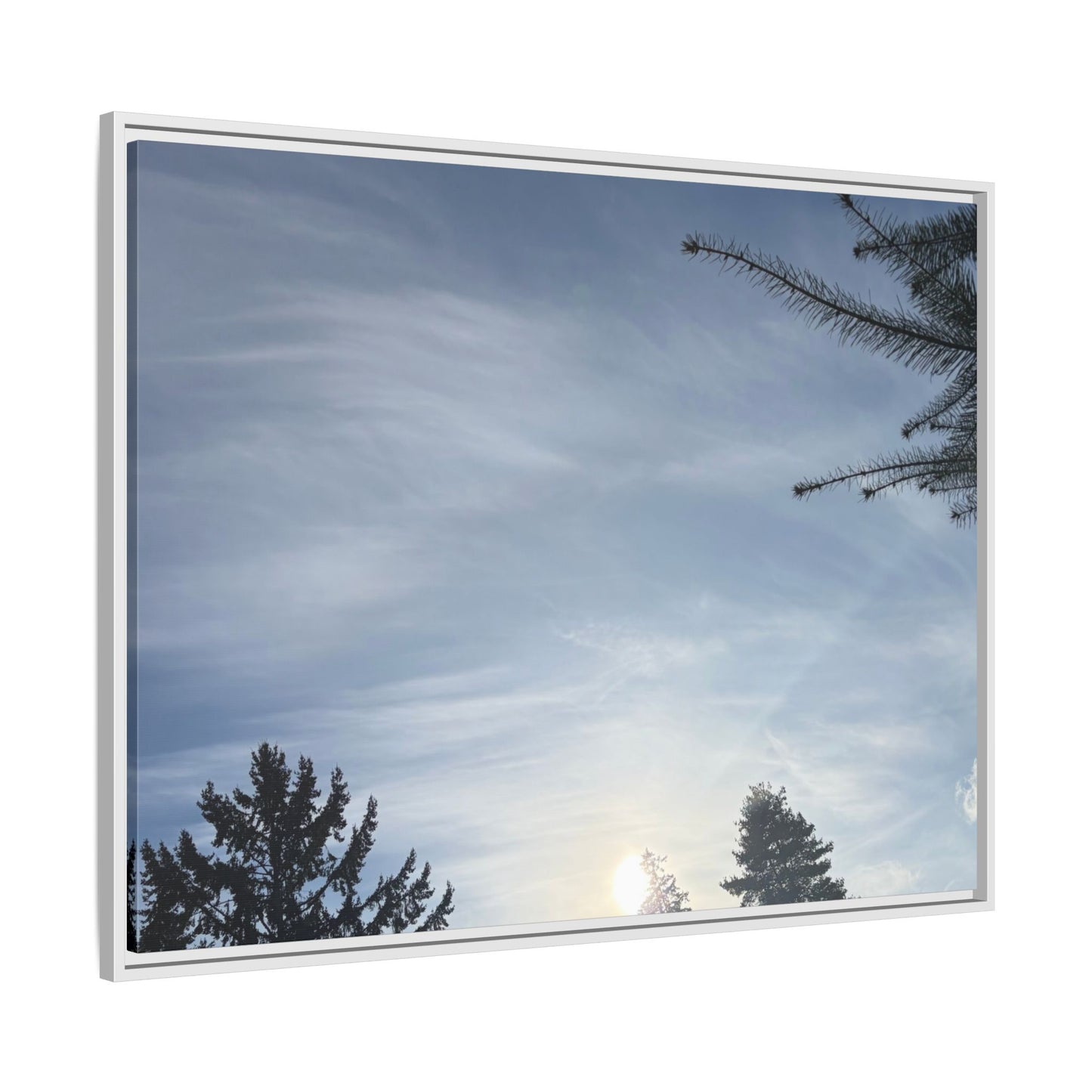Framed Matte Canvas Wall Art — Winter Sky Tree Photograph