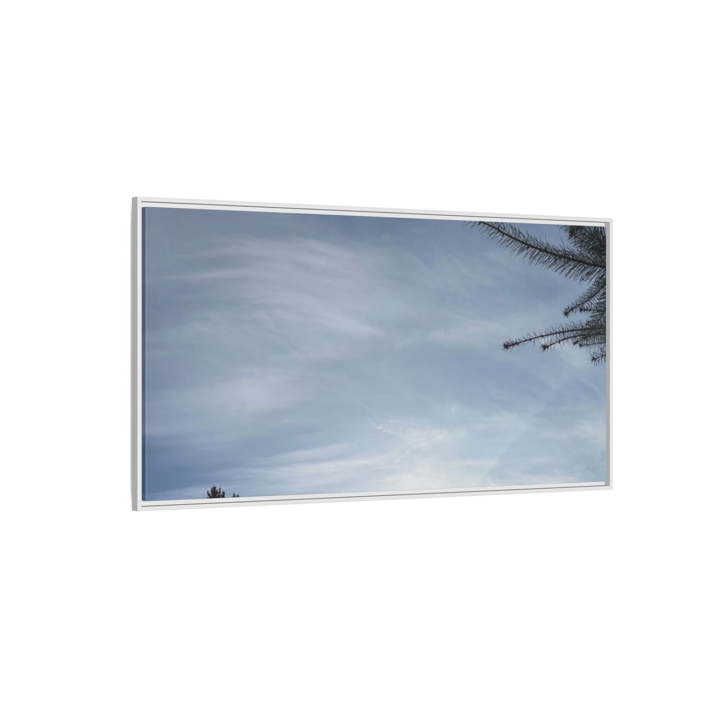 Framed Matte Canvas Wall Art — Winter Sky Tree Photograph