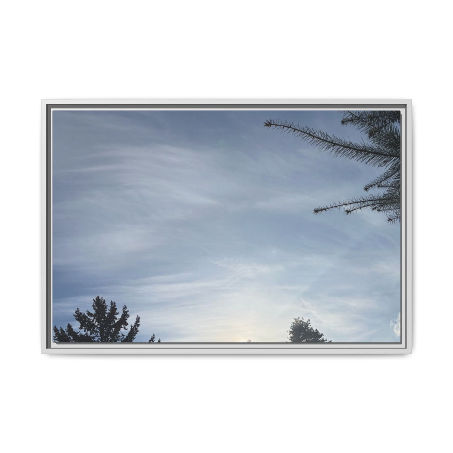Framed Matte Canvas Wall Art — Winter Sky Tree Photograph
