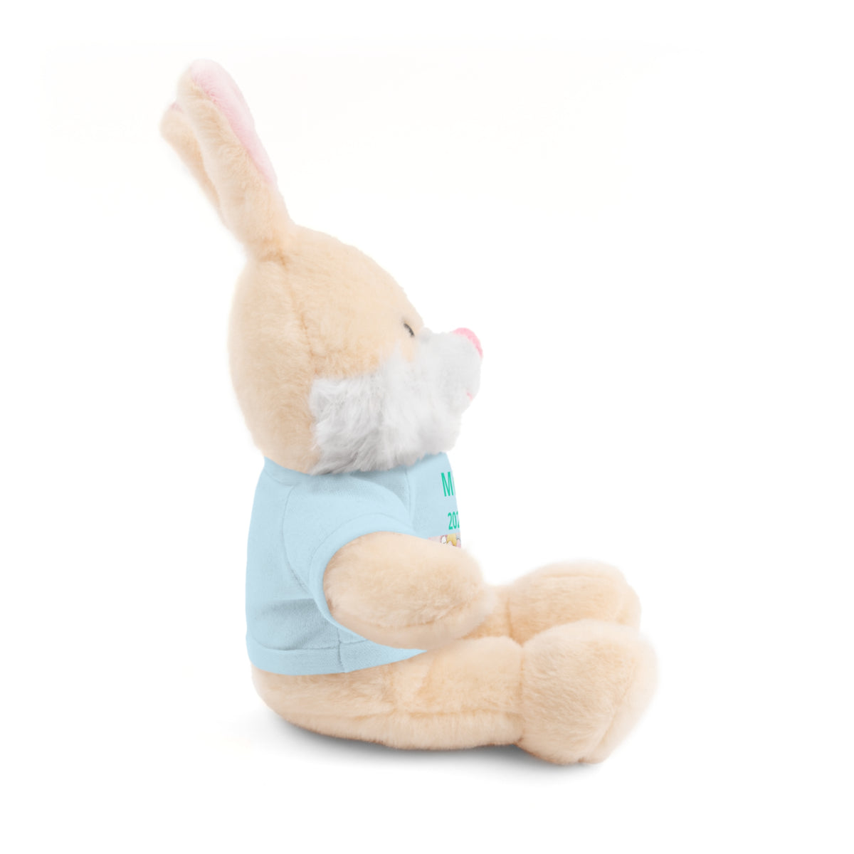 Personalized Plush Bear with Custom Tee — Cute Candy Print & Name