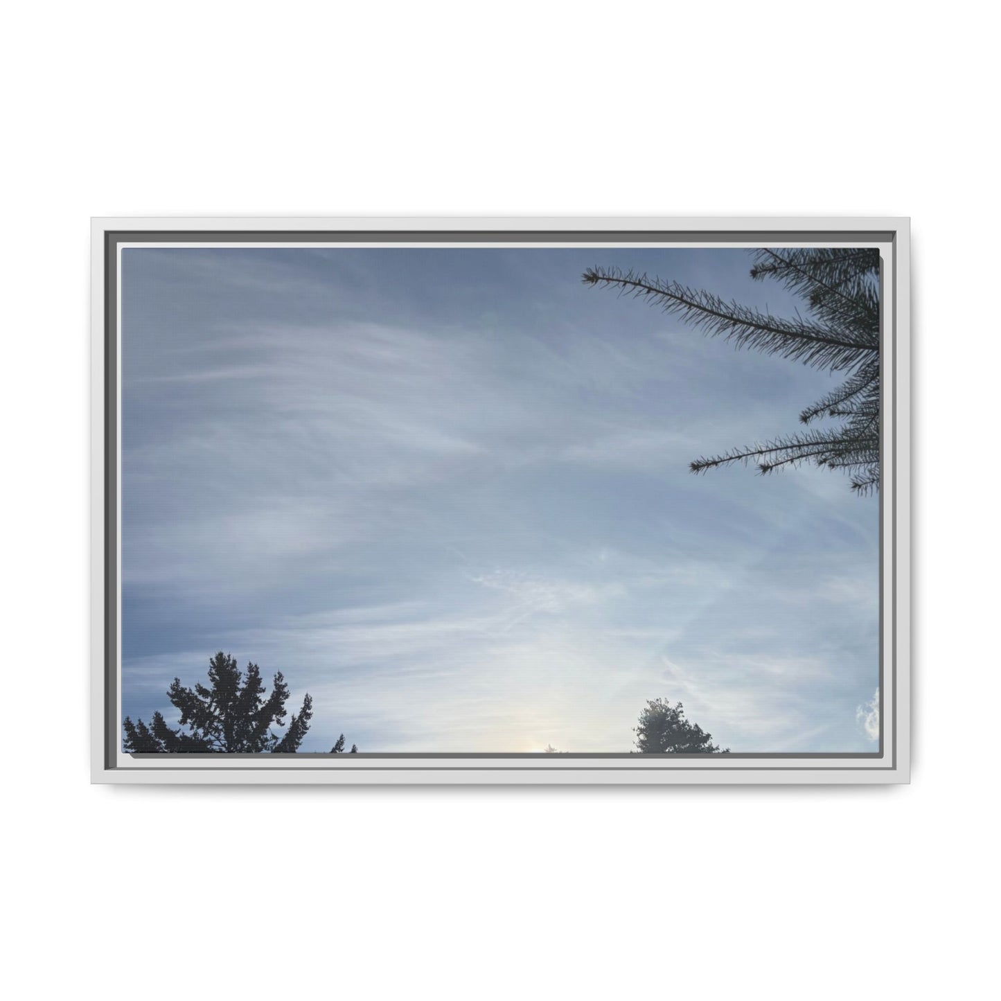 Framed Matte Canvas Wall Art — Winter Sky Tree Photograph