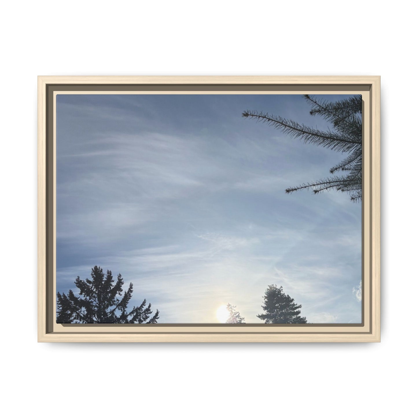 Framed Matte Canvas Wall Art — Winter Sky Tree Photograph