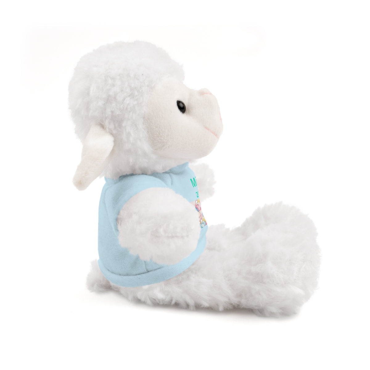 Personalized Plush Bear with Custom Tee — Cute Candy Print & Name