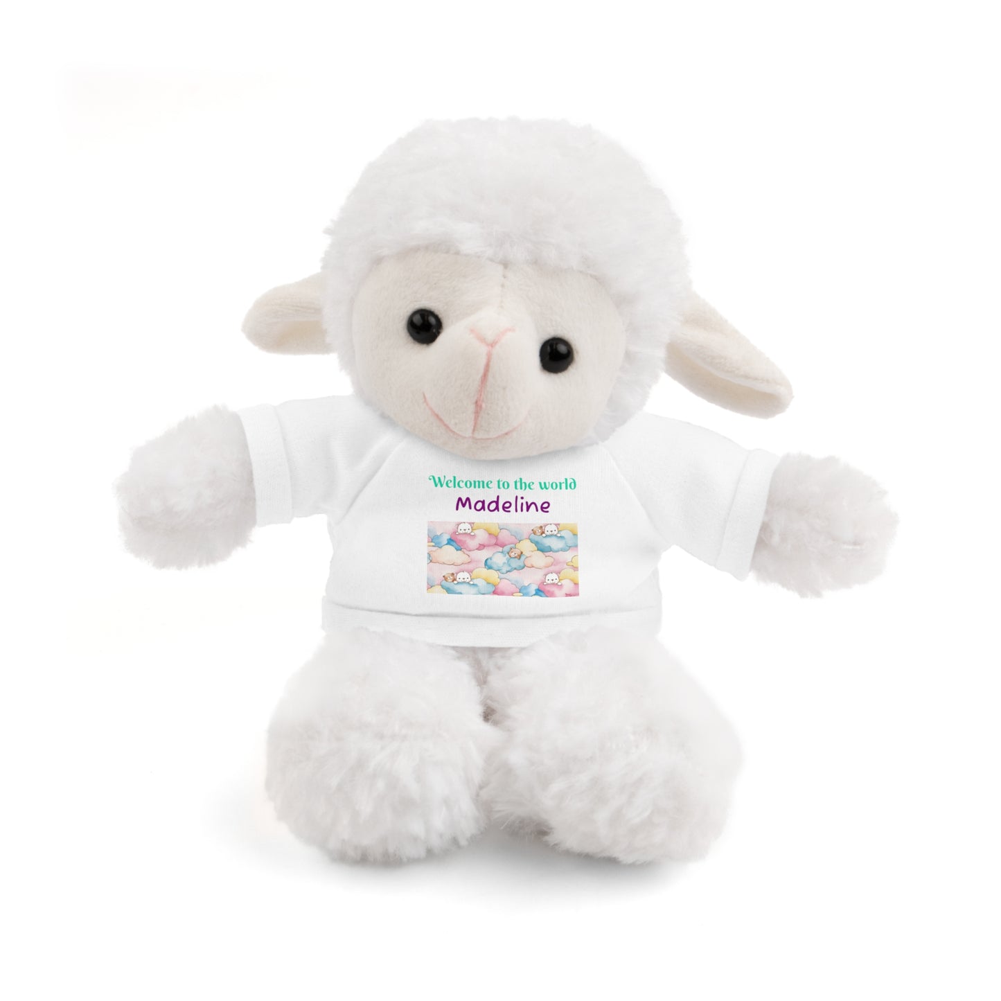 Welcome to the World Newborn Baby Teddy with 'Welcome to the world' Tee