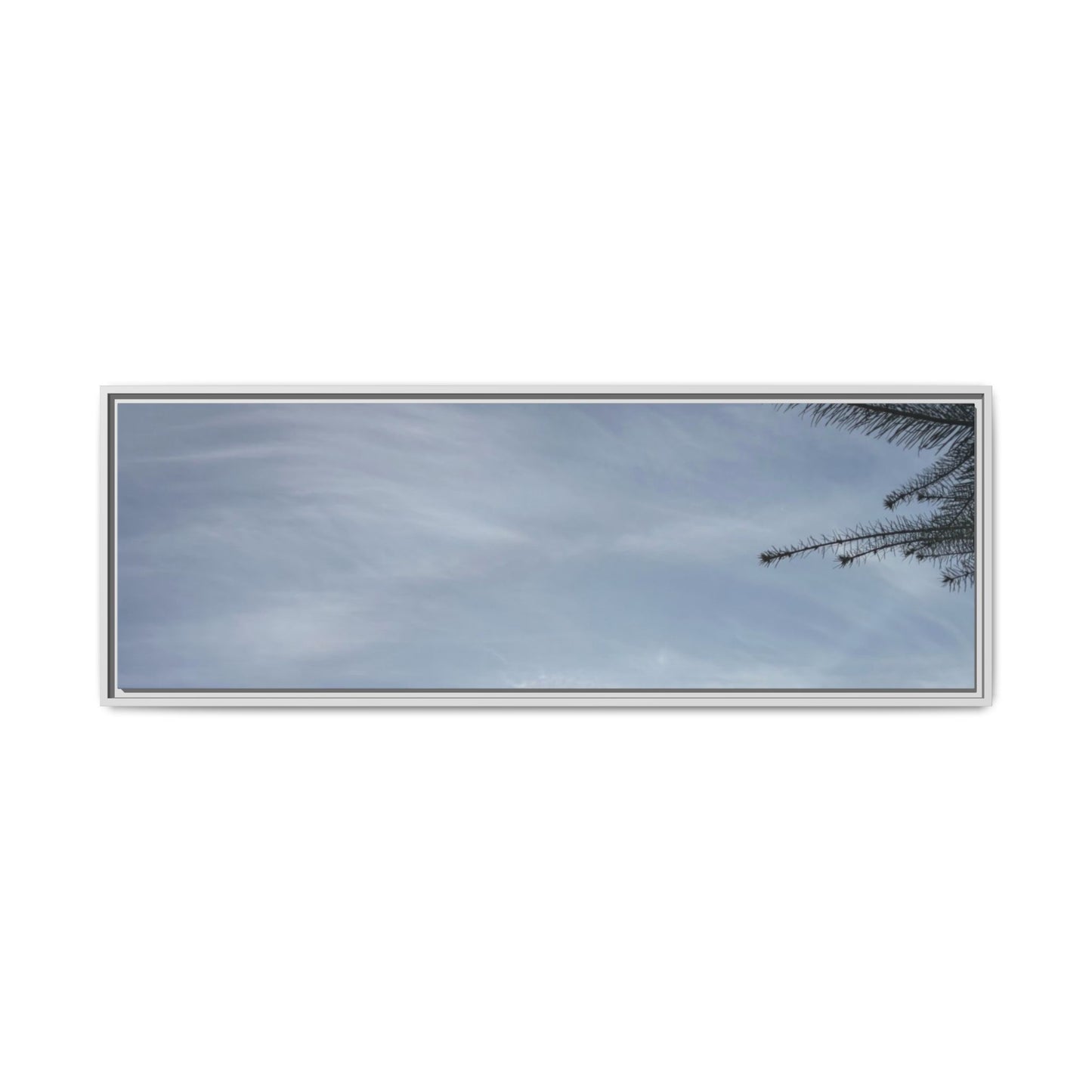 Framed Matte Canvas Wall Art — Winter Sky Tree Photograph