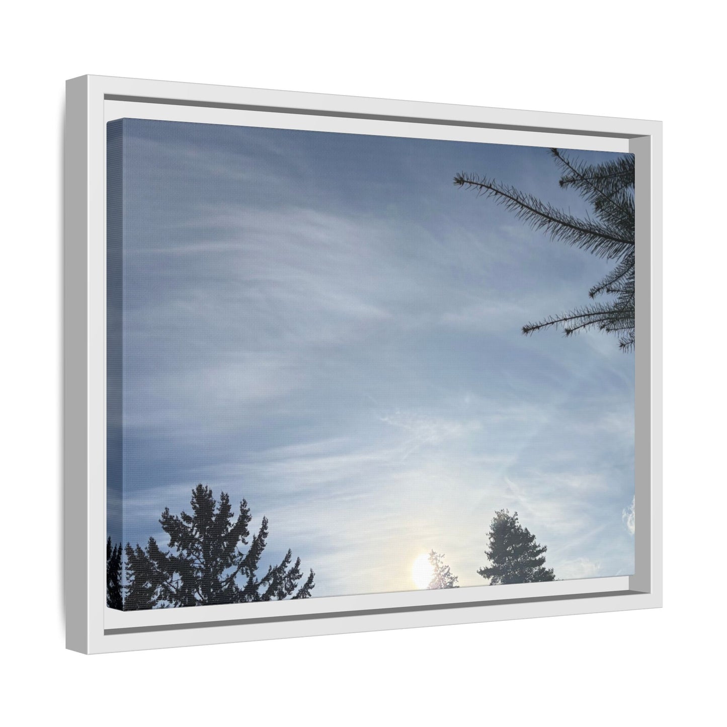 Framed Matte Canvas Wall Art — Winter Sky Tree Photograph