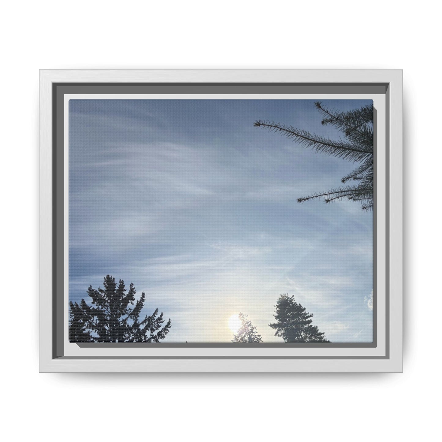 Framed Matte Canvas Wall Art — Winter Sky Tree Photograph