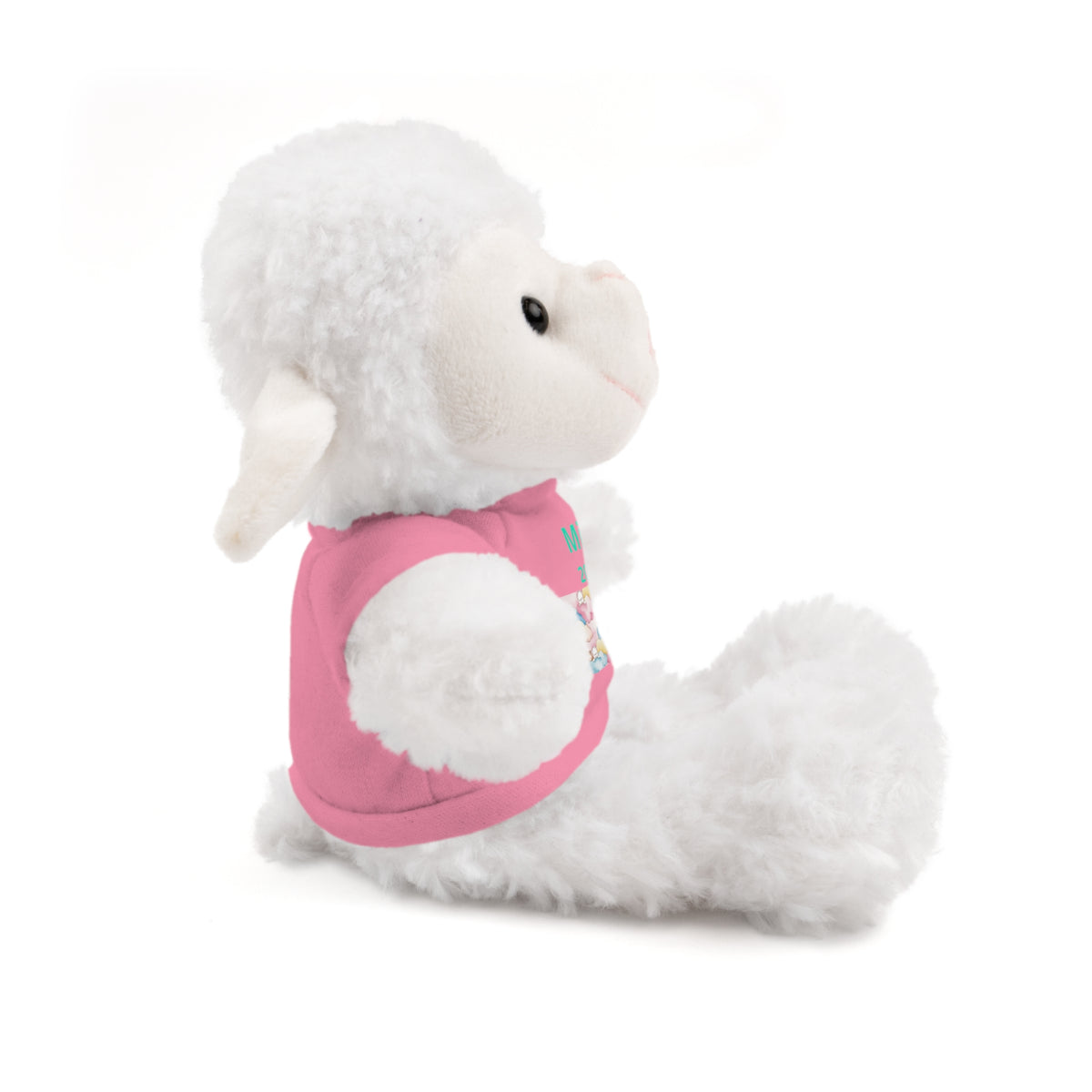 Personalized Plush Bear with Custom Tee — Cute Candy Print & Name
