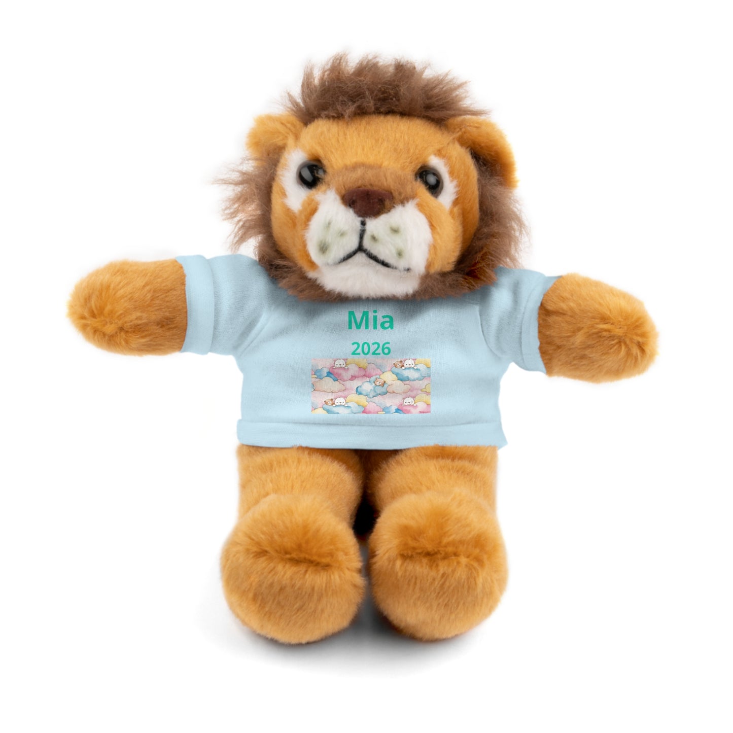 Personalized Plush Bear with Custom Tee — Cute Candy Print & Name