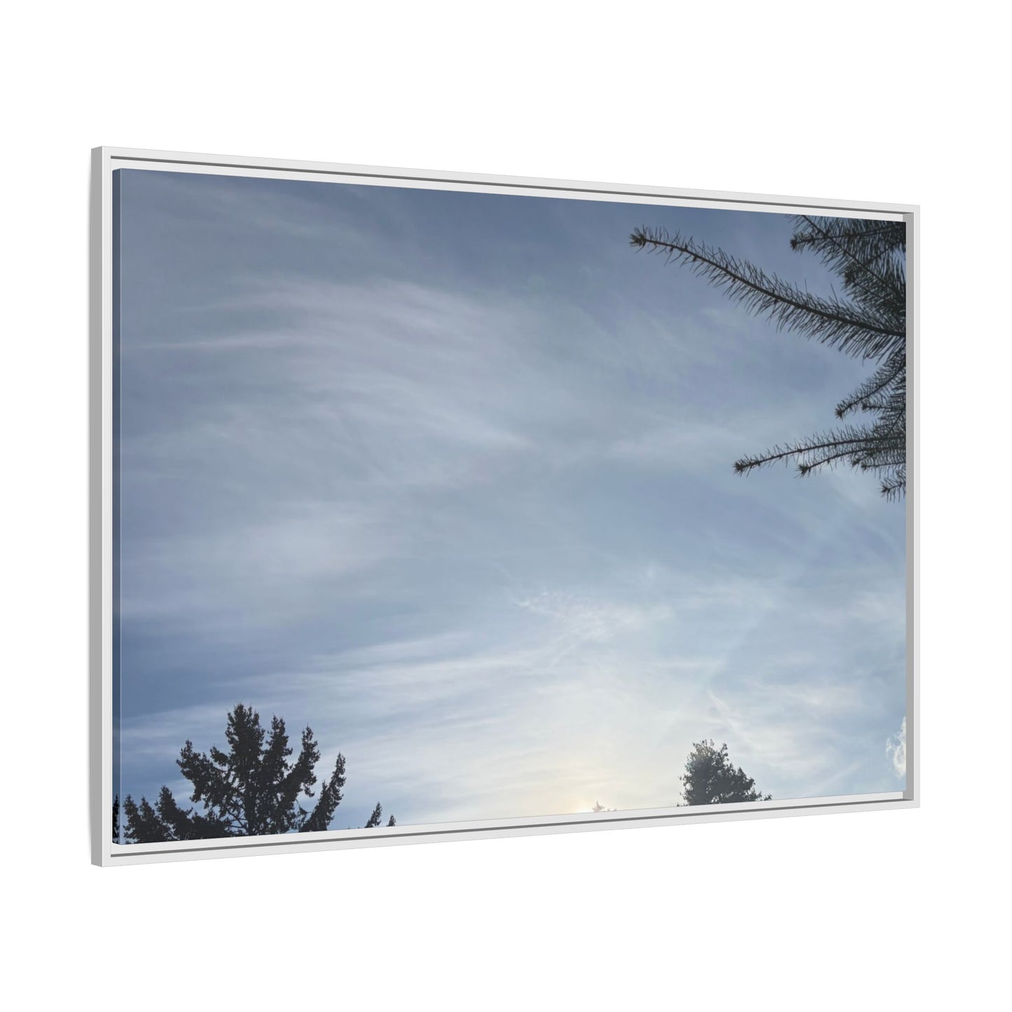 Framed Matte Canvas Wall Art — Winter Sky Tree Photograph