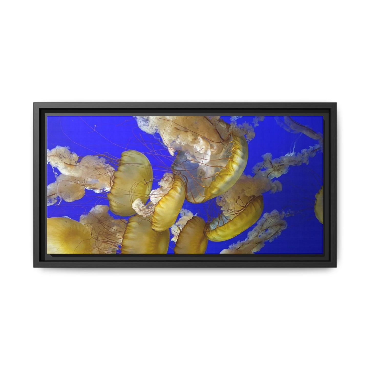Canvas Wall Art - Jellyfish Theme