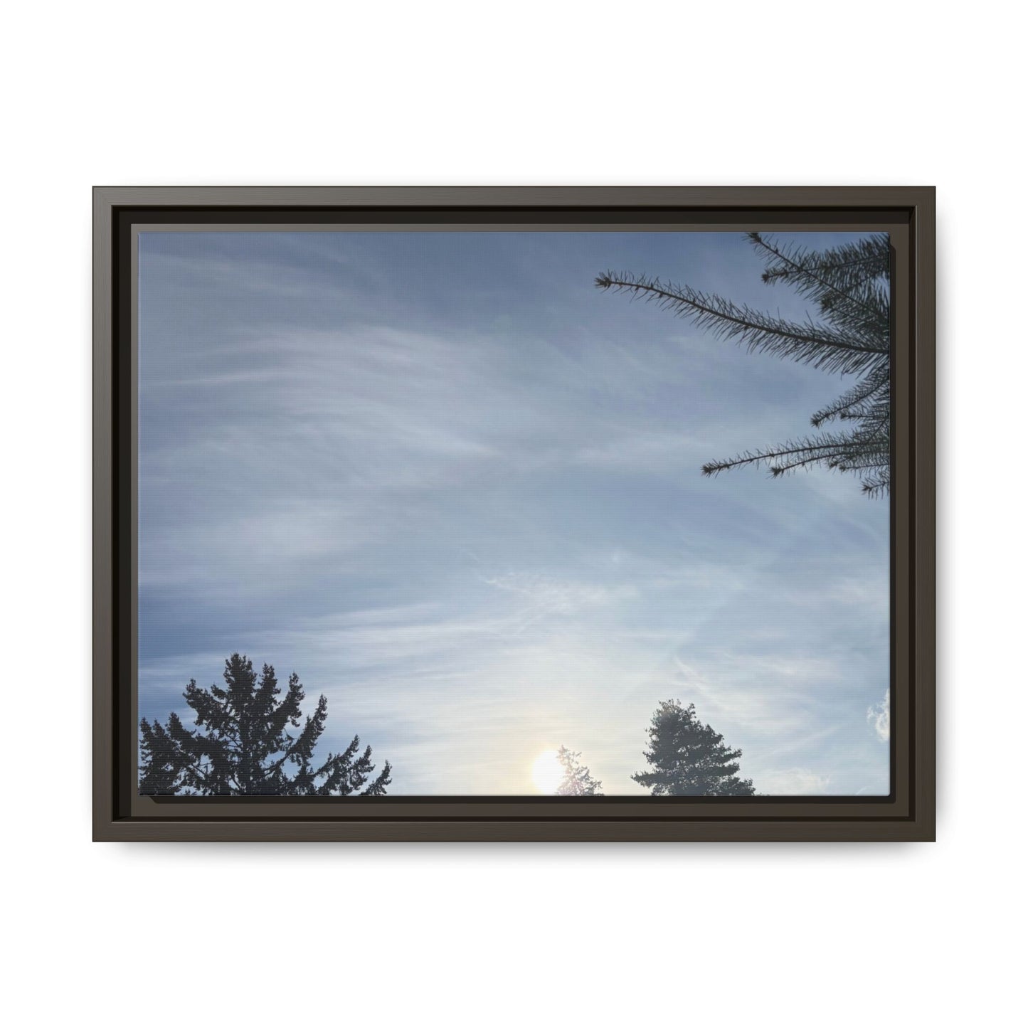 Framed Matte Canvas Wall Art — Winter Sky Tree Photograph