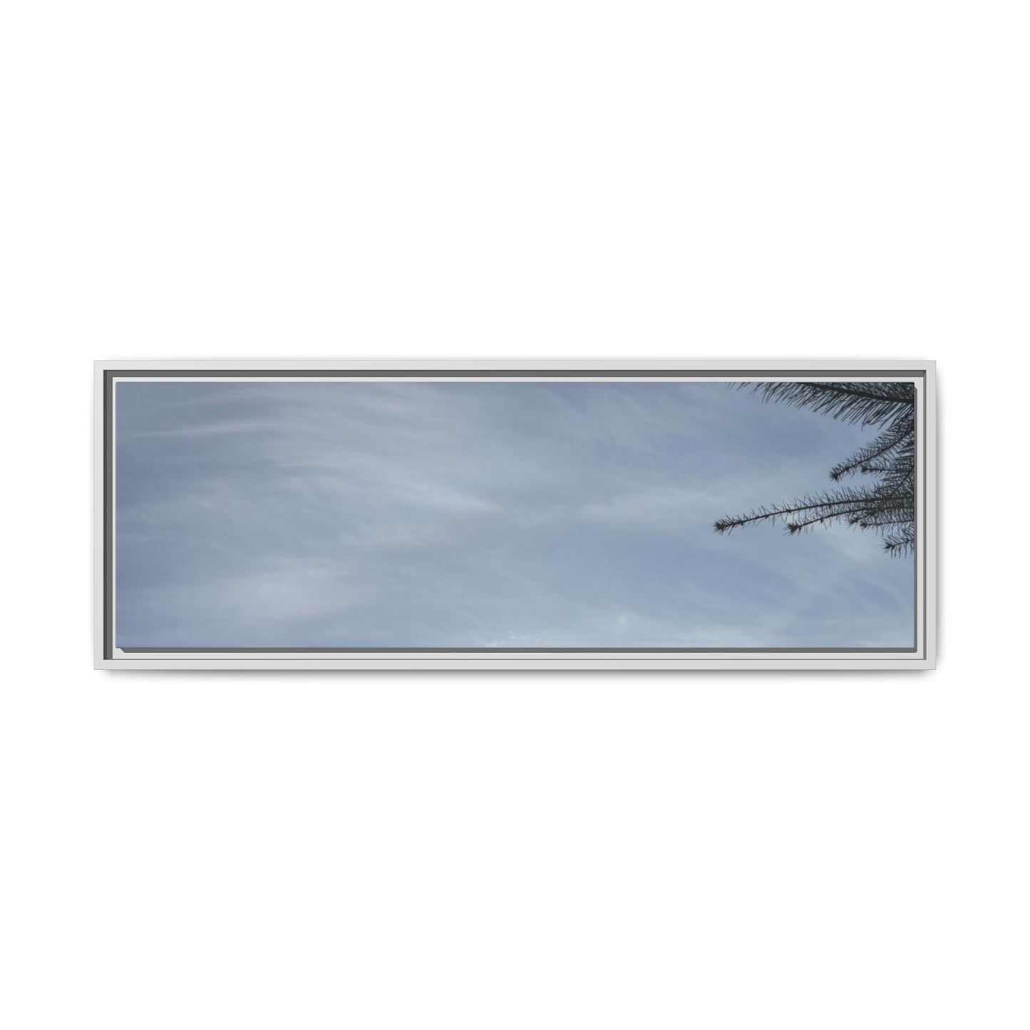 Framed Matte Canvas Wall Art — Winter Sky Tree Photograph