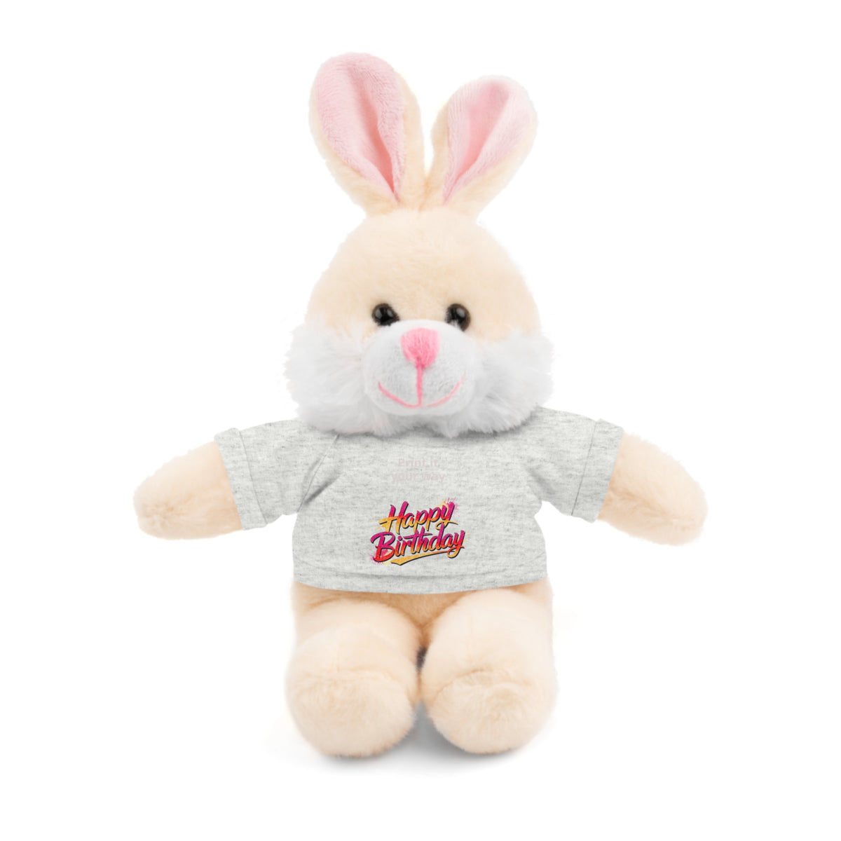 Personalized Birthday Teddy Bear with 'Happy Birthday' Tee