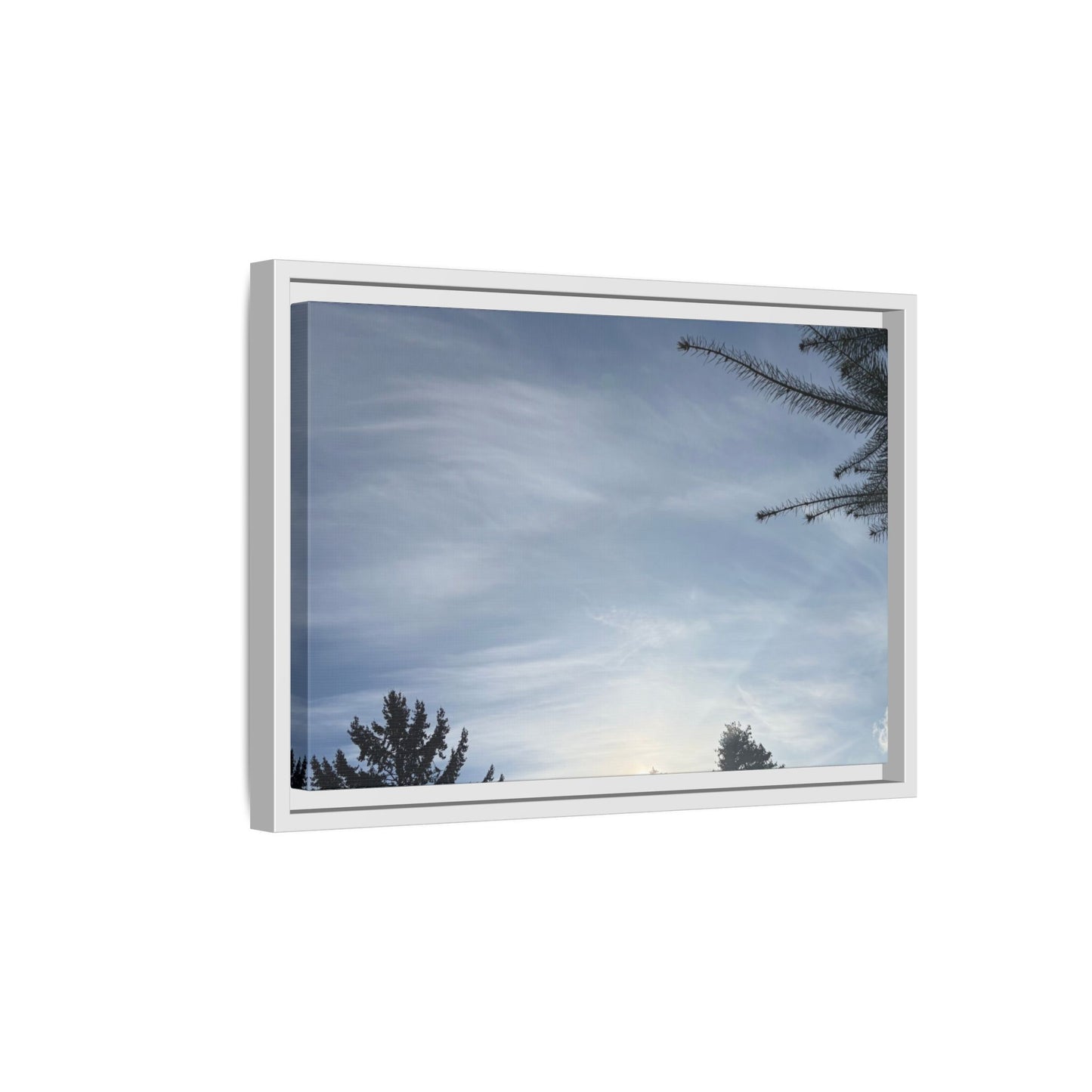 Framed Matte Canvas Wall Art — Winter Sky Tree Photograph