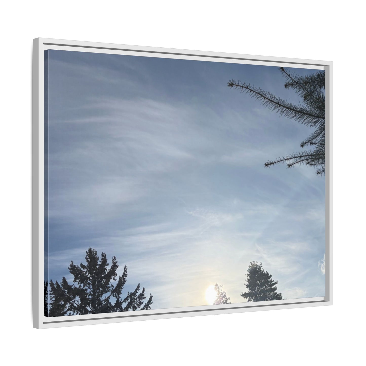 Framed Matte Canvas Wall Art — Winter Sky Tree Photograph