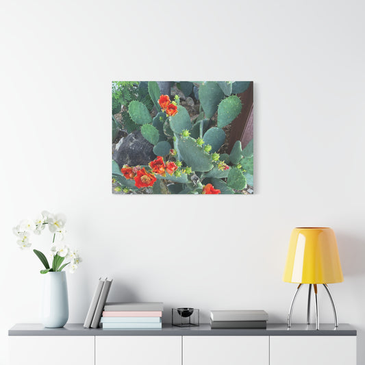 Canvas Print - Cactus Theme