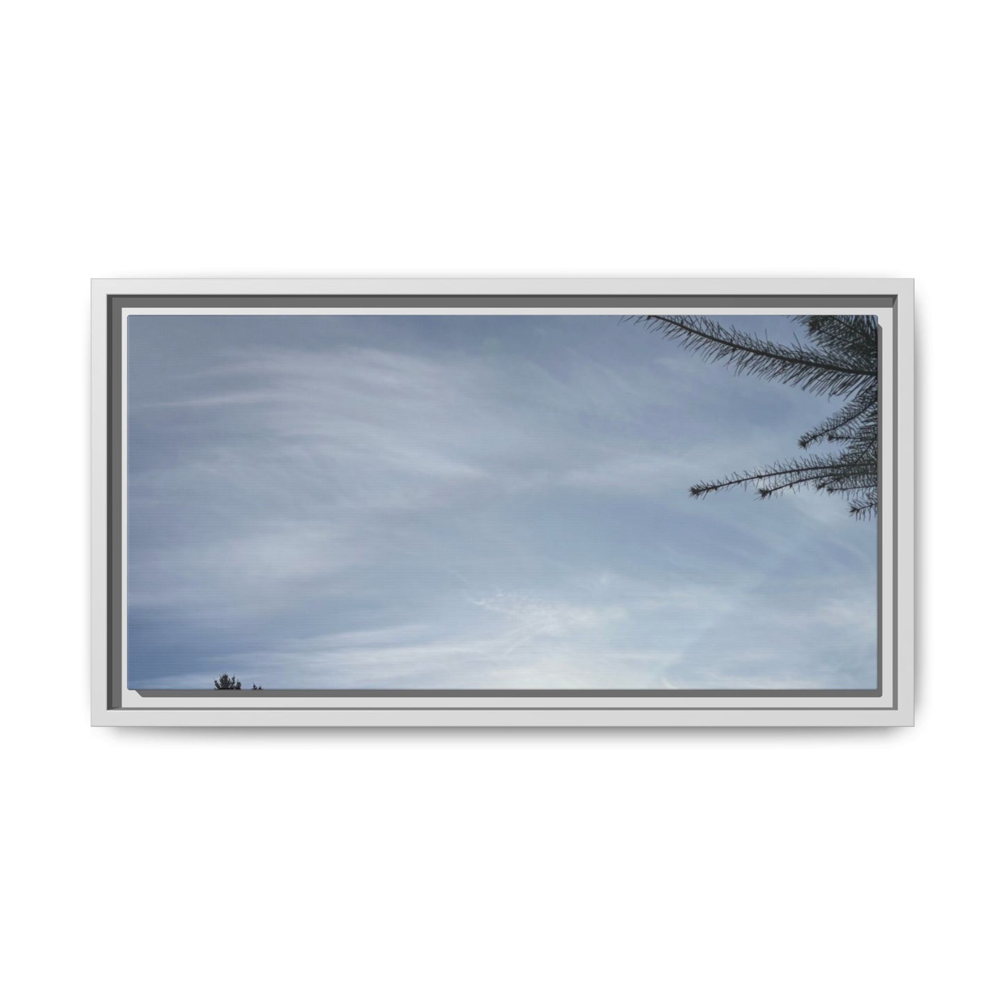 Framed Matte Canvas Wall Art — Winter Sky Tree Photograph