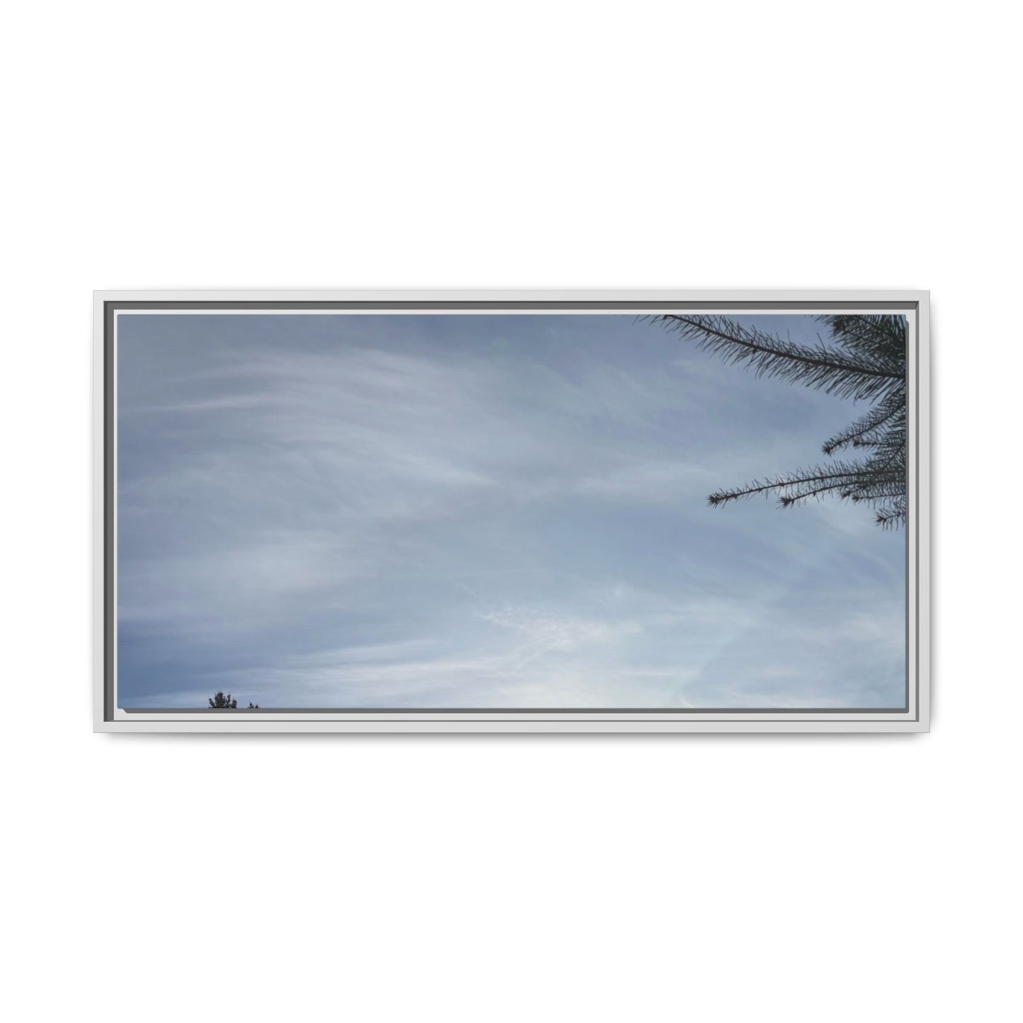 Framed Matte Canvas Wall Art — Winter Sky Tree Photograph