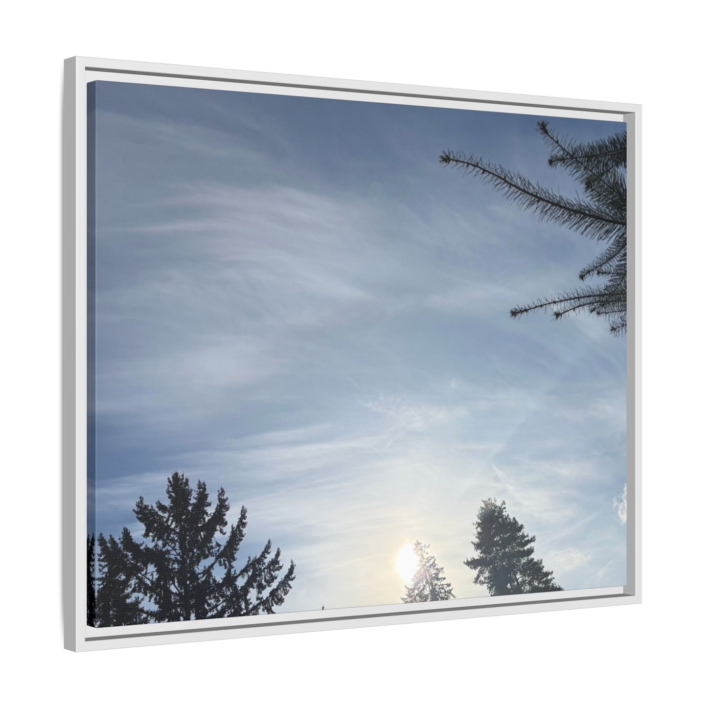 Framed Matte Canvas Wall Art — Winter Sky Tree Photograph