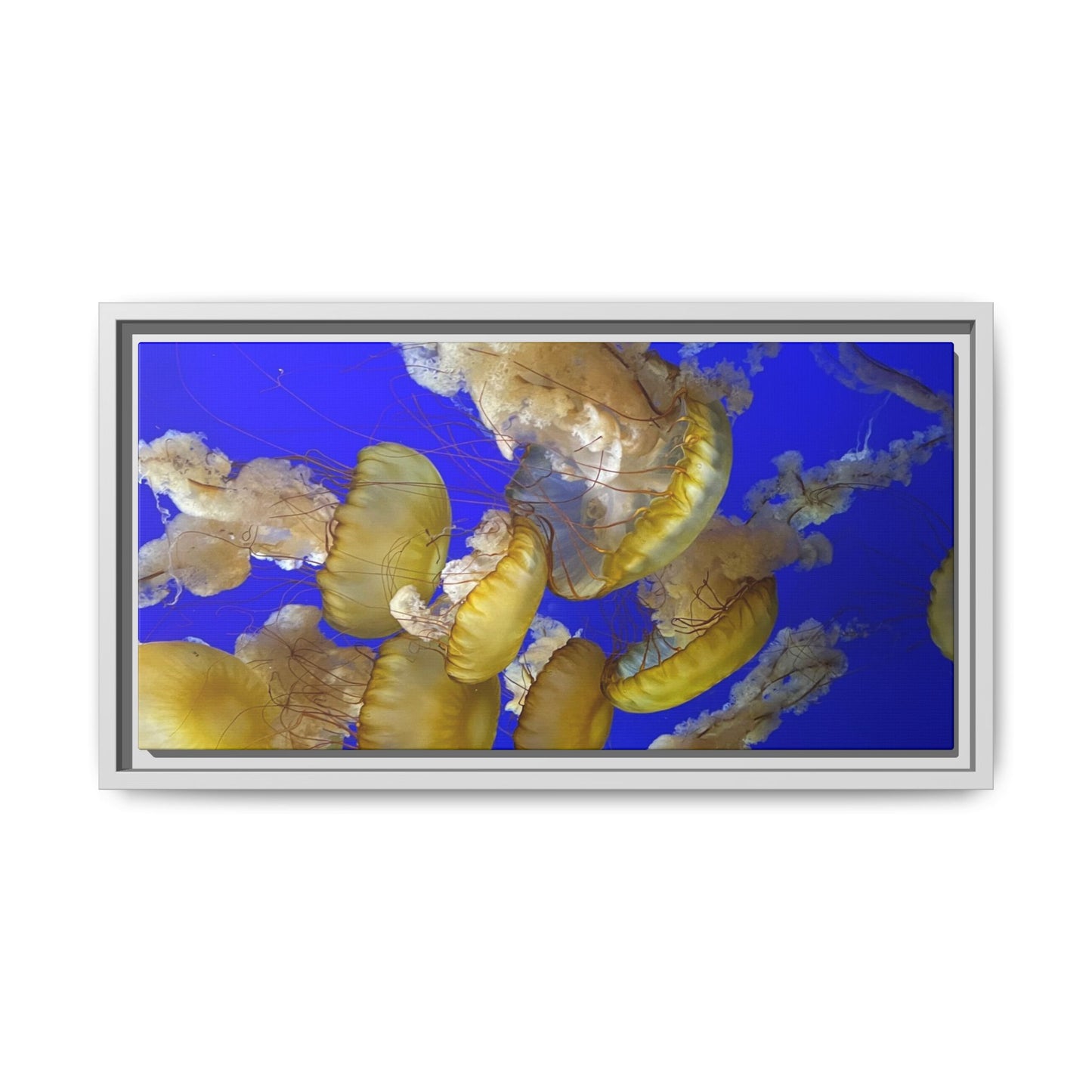 Canvas Wall Art - Jellyfish Theme