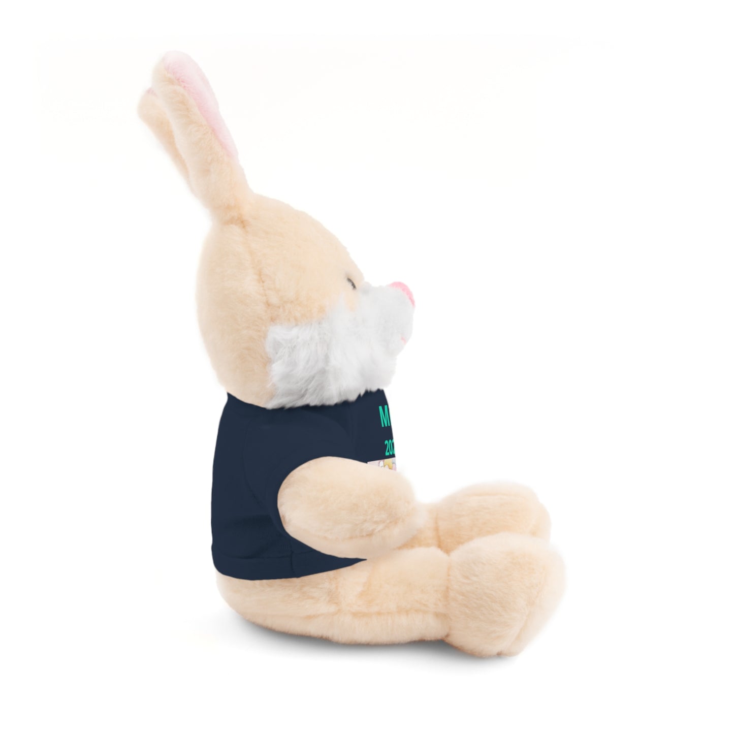 Personalized Plush Bear with Custom Tee — Cute Candy Print & Name