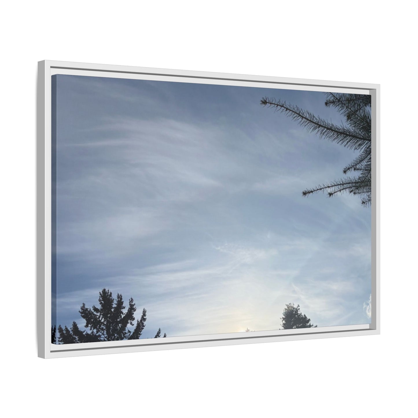 Framed Matte Canvas Wall Art — Winter Sky Tree Photograph