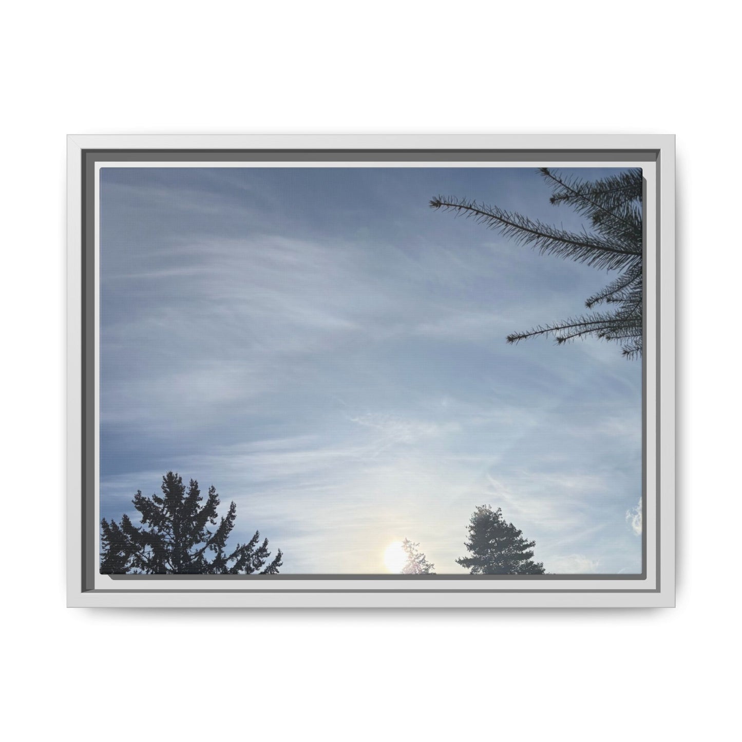 Framed Matte Canvas Wall Art — Winter Sky Tree Photograph