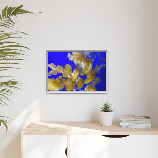Canvas Wall Art - Jellyfish Theme