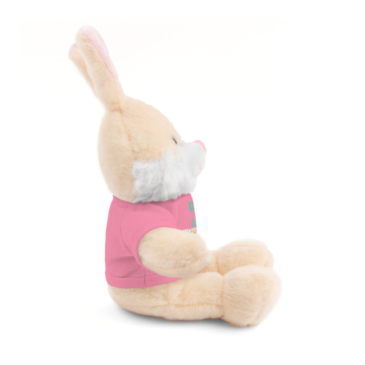 Personalized Plush Bear with Custom Tee — Cute Candy Print & Name