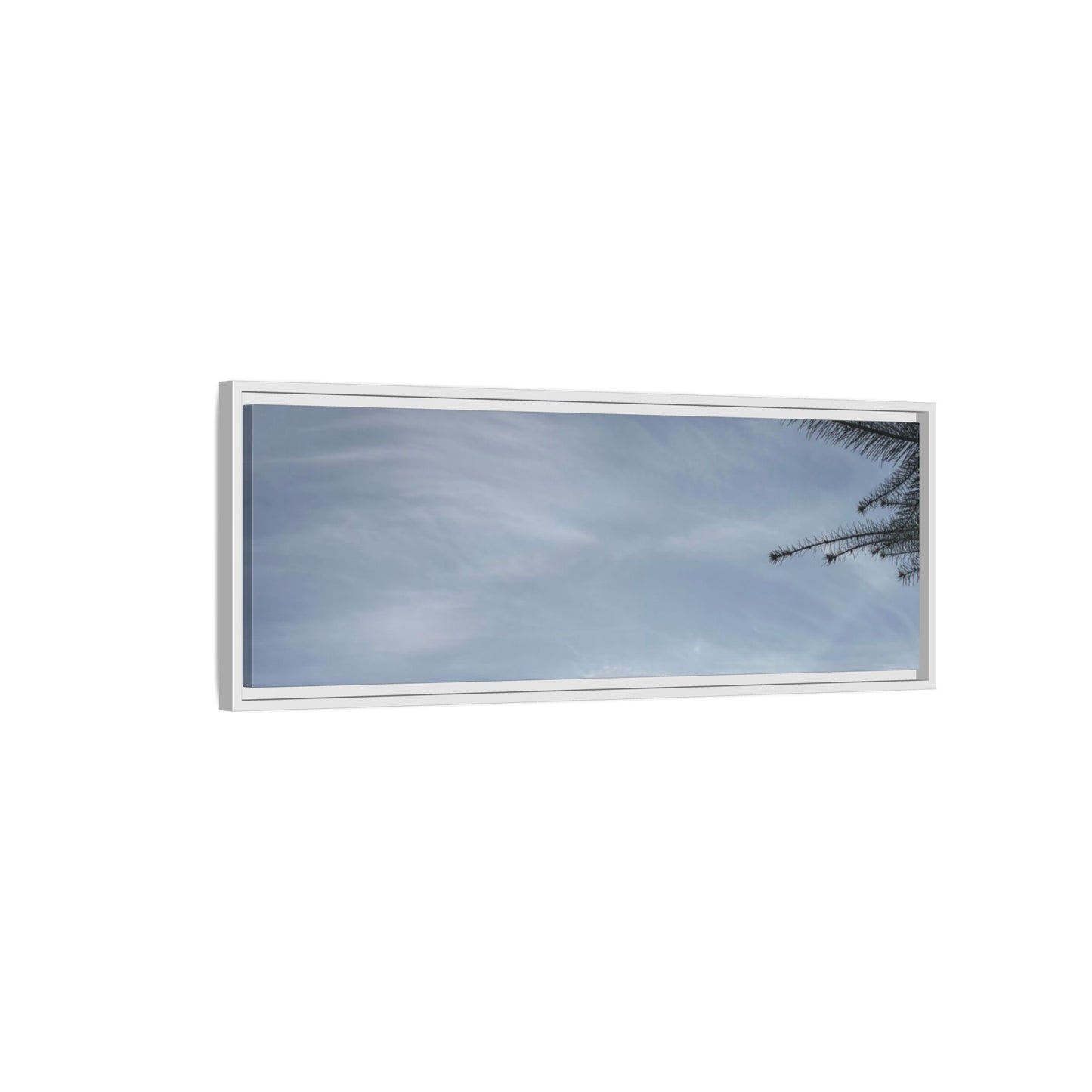 Framed Matte Canvas Wall Art — Winter Sky Tree Photograph