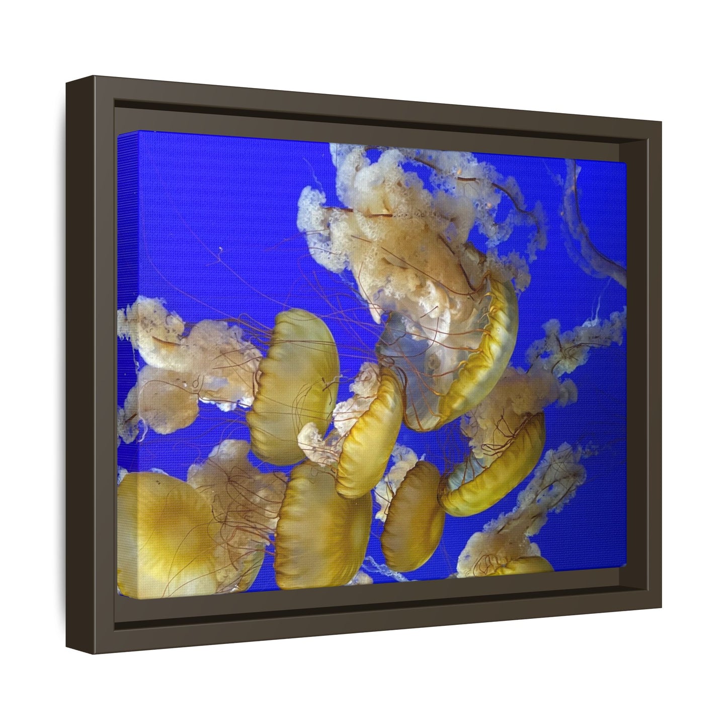 Canvas Wall Art - Jellyfish Theme
