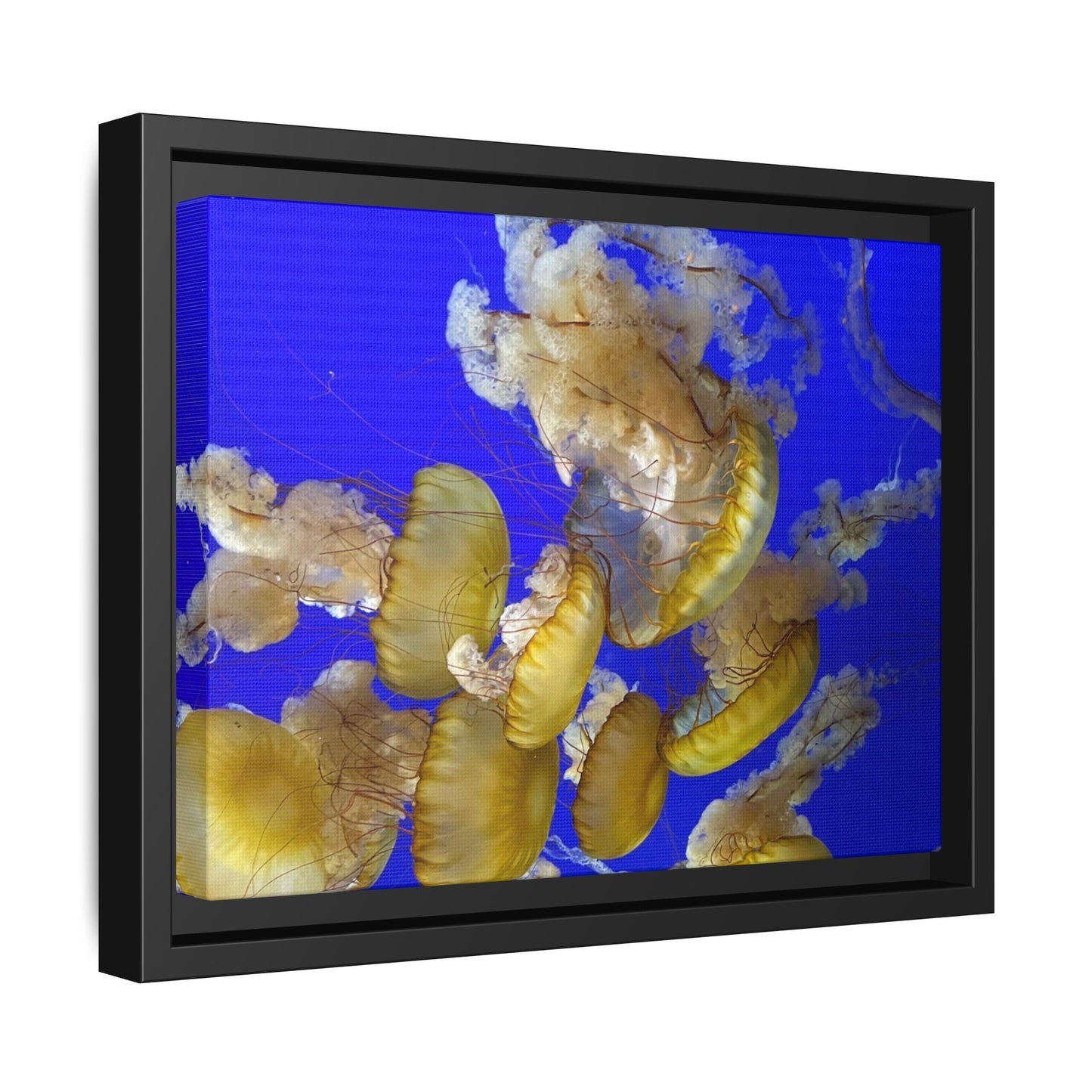 Canvas Wall Art - Jellyfish Theme