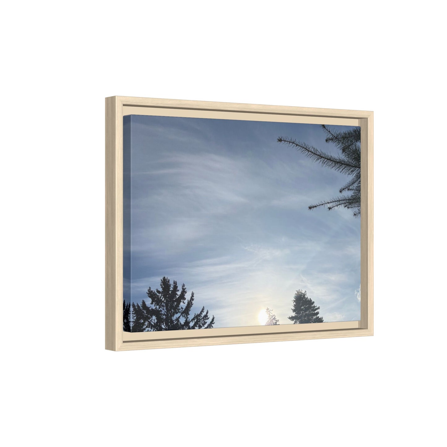 Framed Matte Canvas Wall Art — Winter Sky Tree Photograph