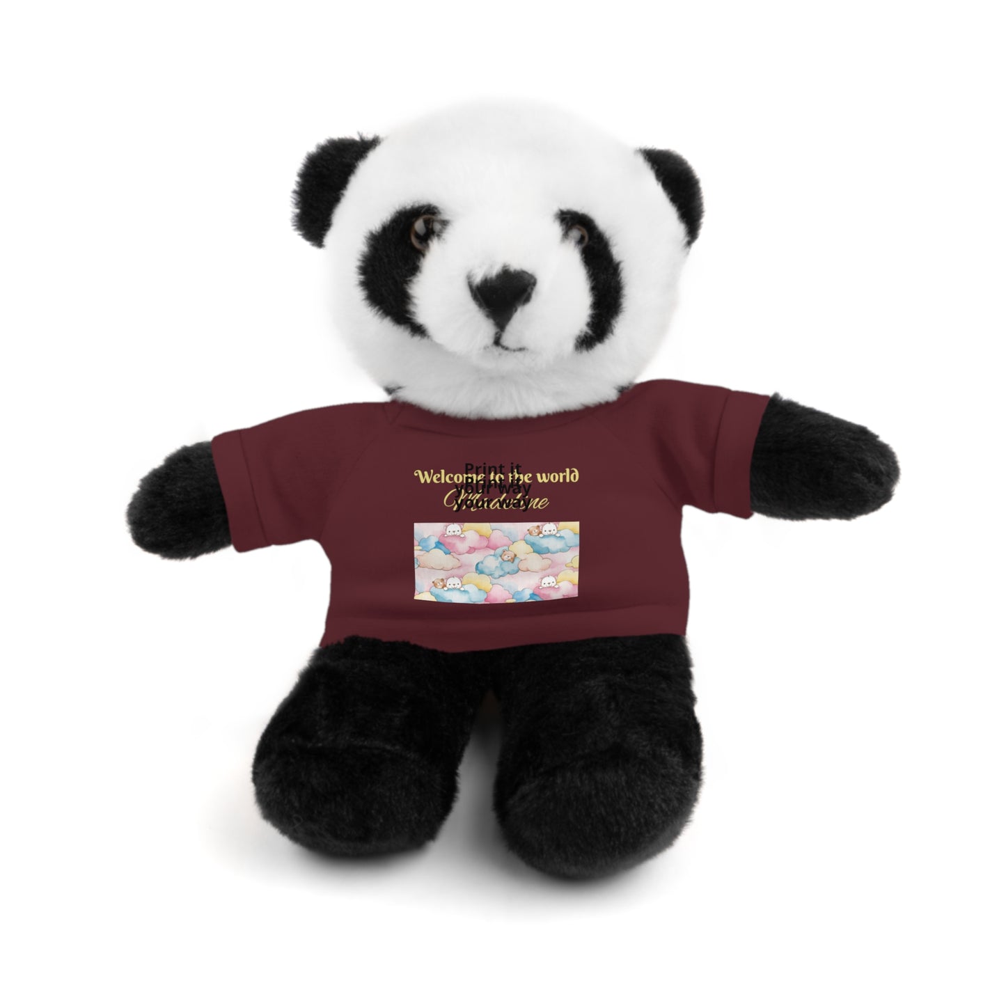 Welcome to the World Newborn Baby Teddy with 'Welcome to the world' Tee