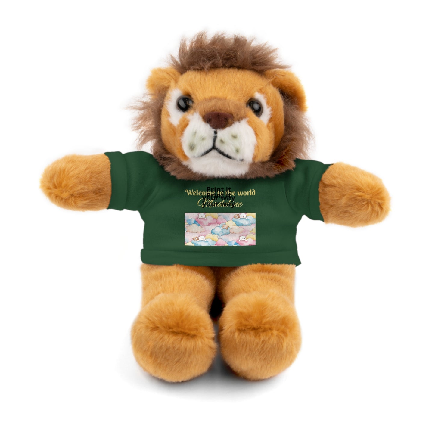 Welcome to the World Newborn Baby Teddy with 'Welcome to the world' Tee
