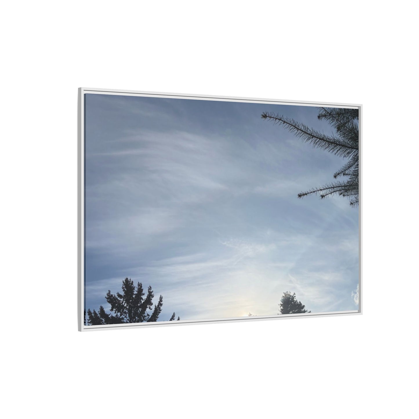 Framed Matte Canvas Wall Art — Winter Sky Tree Photograph