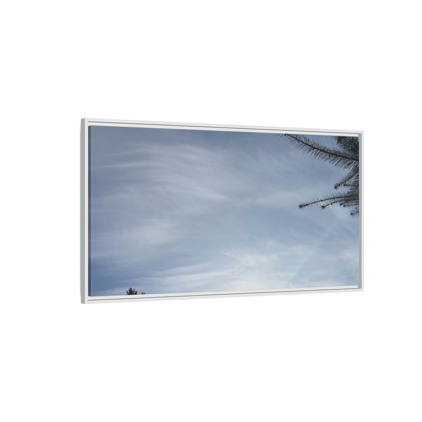 Framed Matte Canvas Wall Art — Winter Sky Tree Photograph