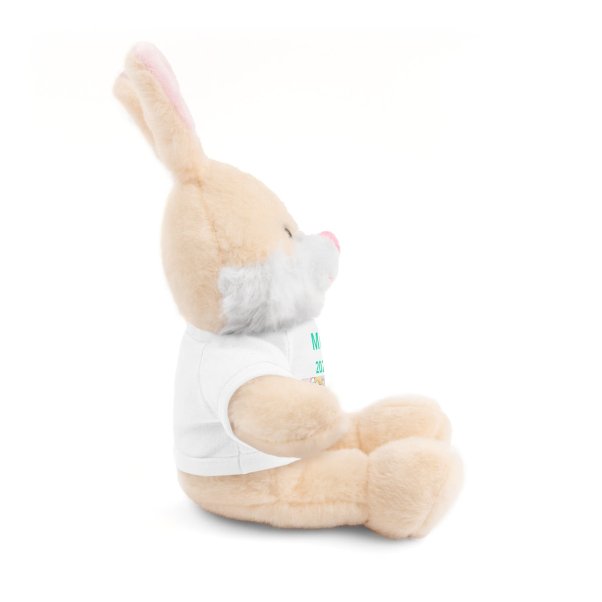 Personalized Plush Bear with Custom Tee — Cute Candy Print & Name