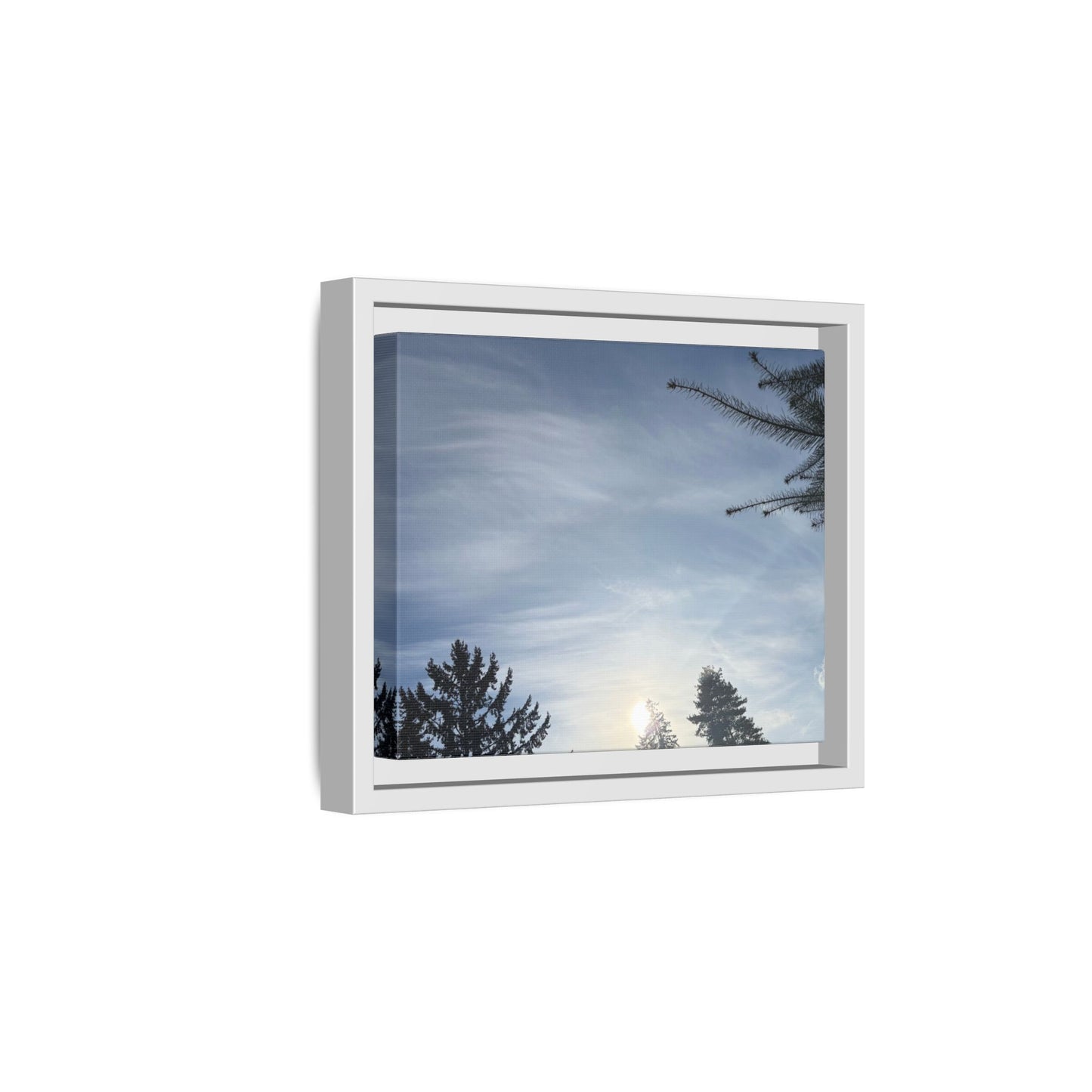 Framed Matte Canvas Wall Art — Winter Sky Tree Photograph