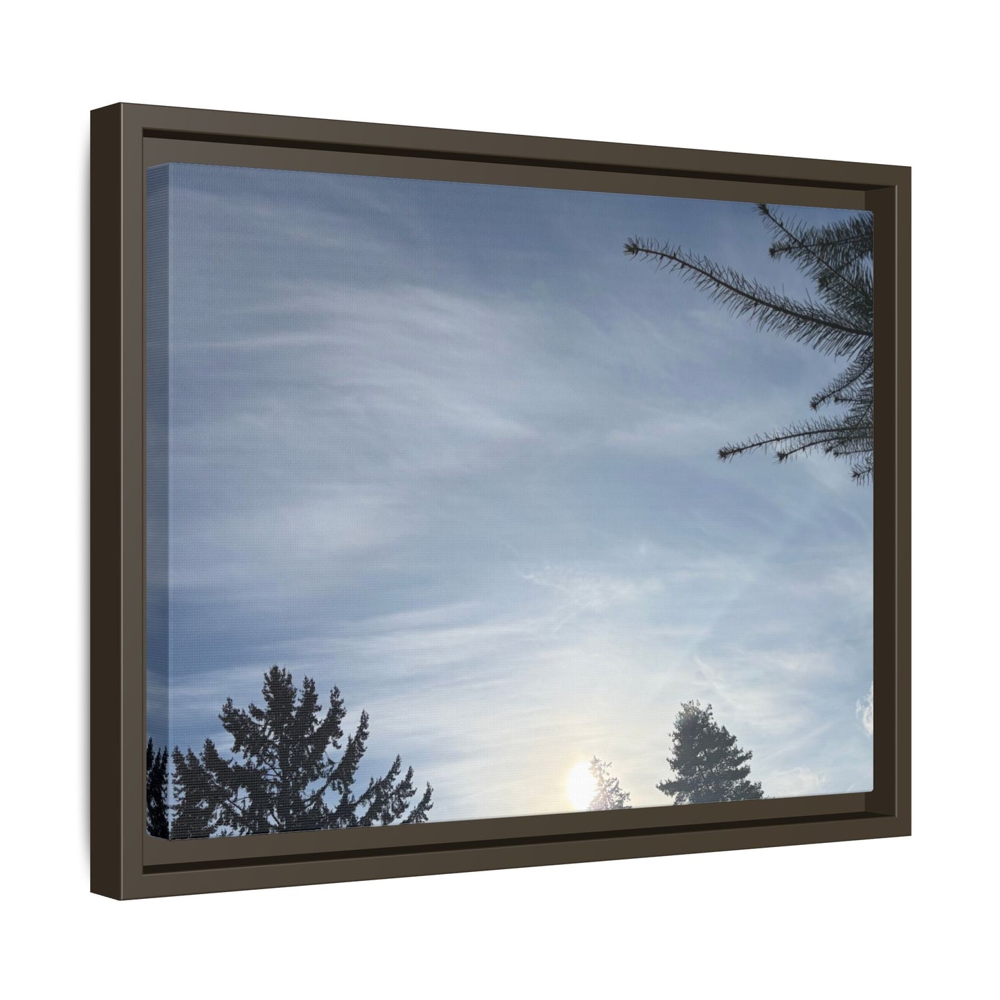 Framed Matte Canvas Wall Art — Winter Sky Tree Photograph