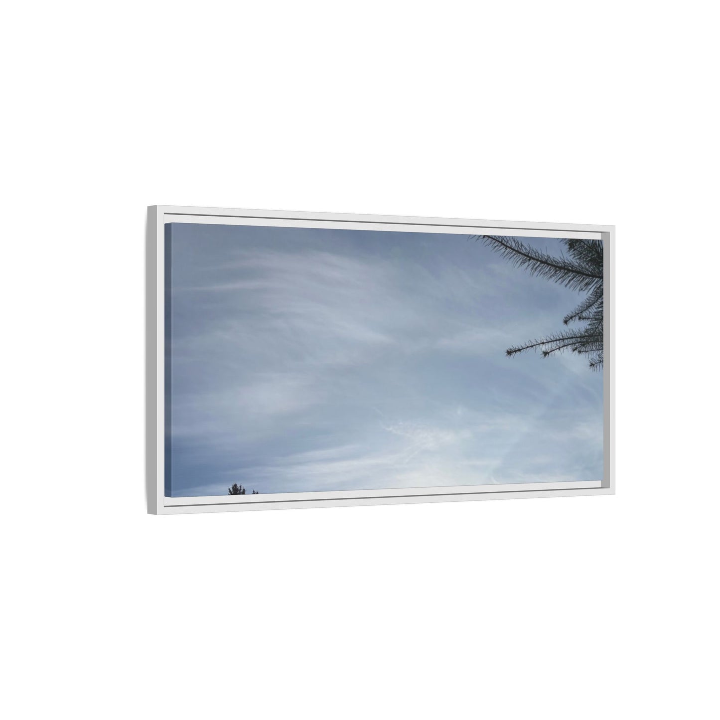 Framed Matte Canvas Wall Art — Winter Sky Tree Photograph